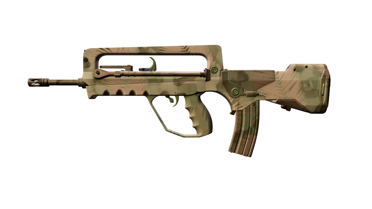 Front view of FAMAS | Palm