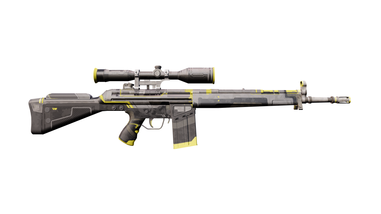 Back view of G3SG1 | Stinger