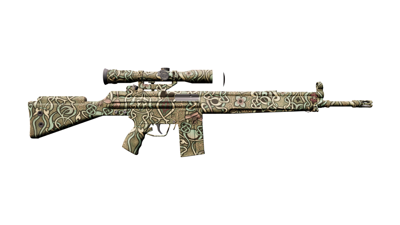 Back view of G3SG1 | New Roots