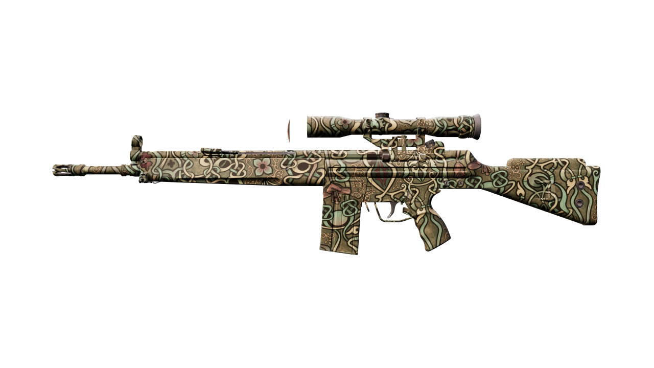 Front view of G3SG1 | New Roots