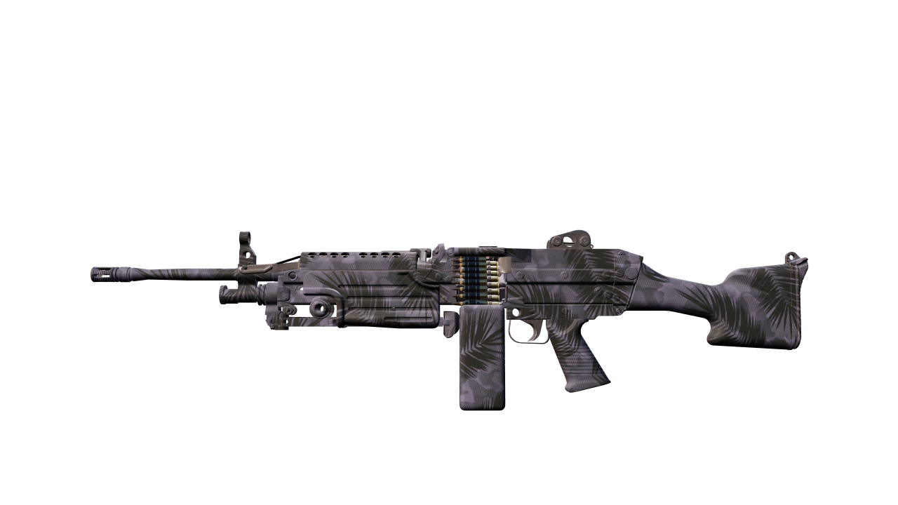 Front view of M249 | Midnight Palm