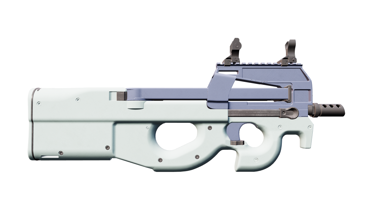 Back view of P90 | Storm