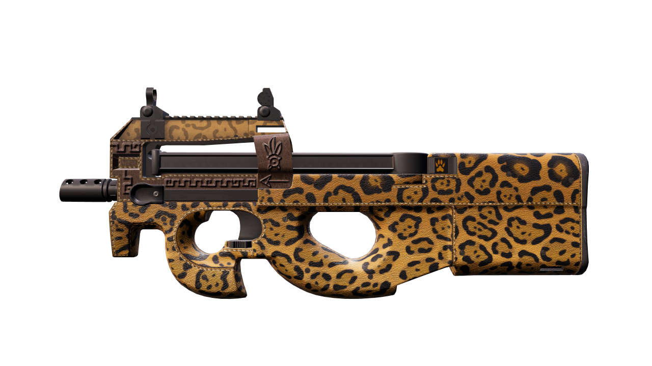 Front view of P90 | Run and Hide