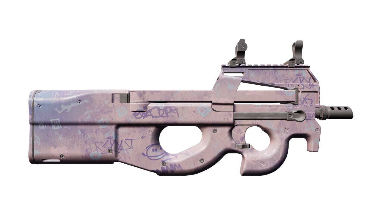 Back view of P90 | Wash me