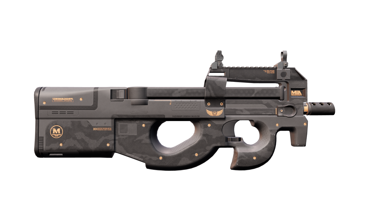 Back view of P90 | Elite Build