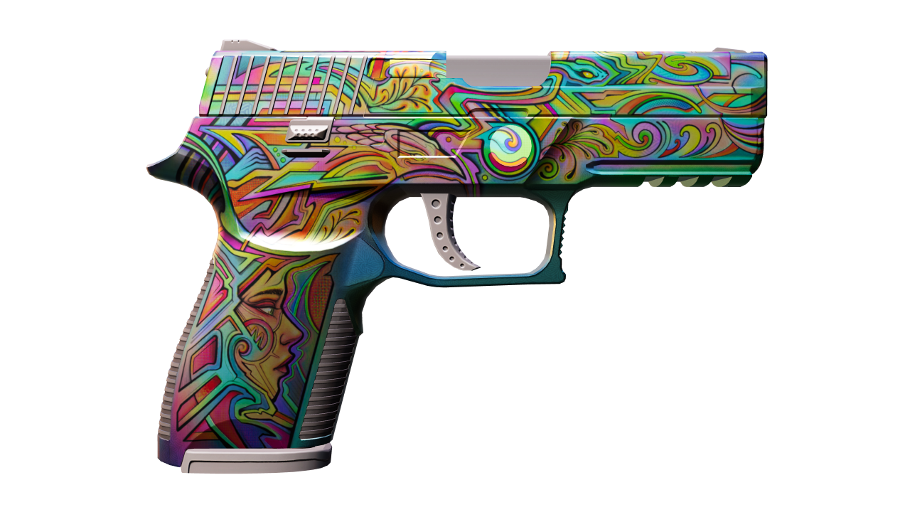 Back view of P250 | Visions