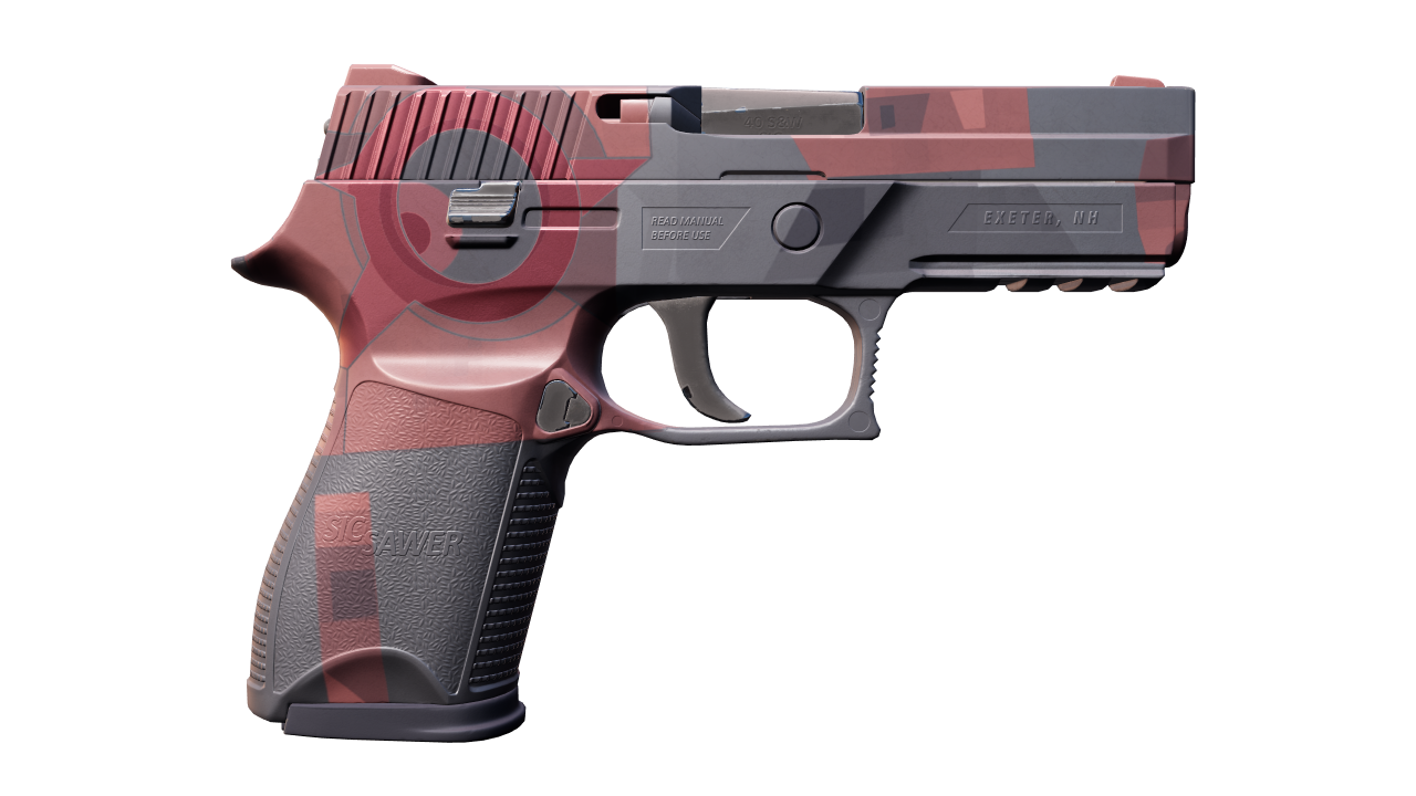 Back view of P250 | Constructivist