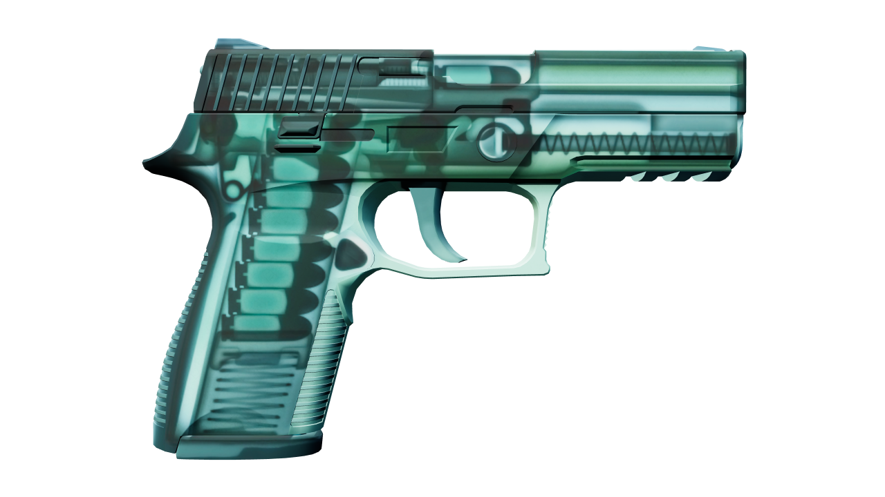 Back view of P250 | X-Ray