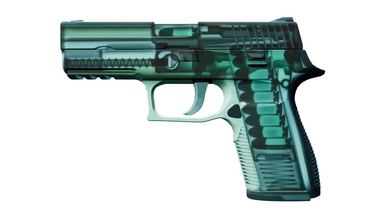 Front view of P250 | X-Ray