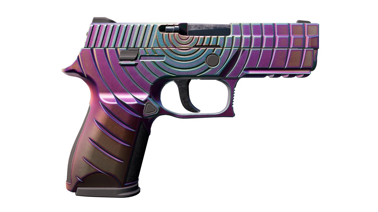 Back view of P250 | Epicenter