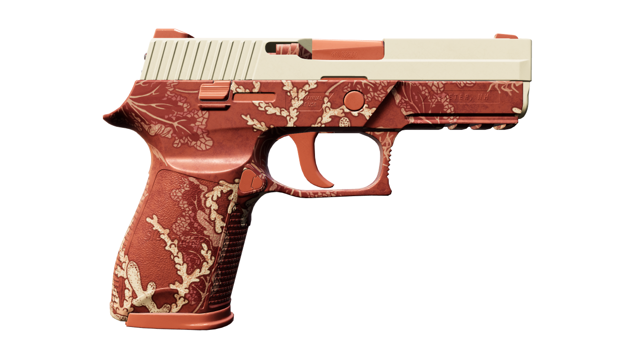 Back view of P250 | Red Tide