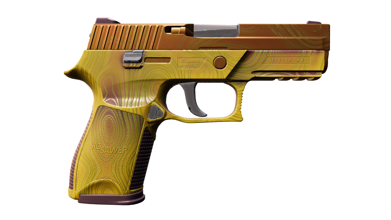 Back view of P250 | Sedimentary