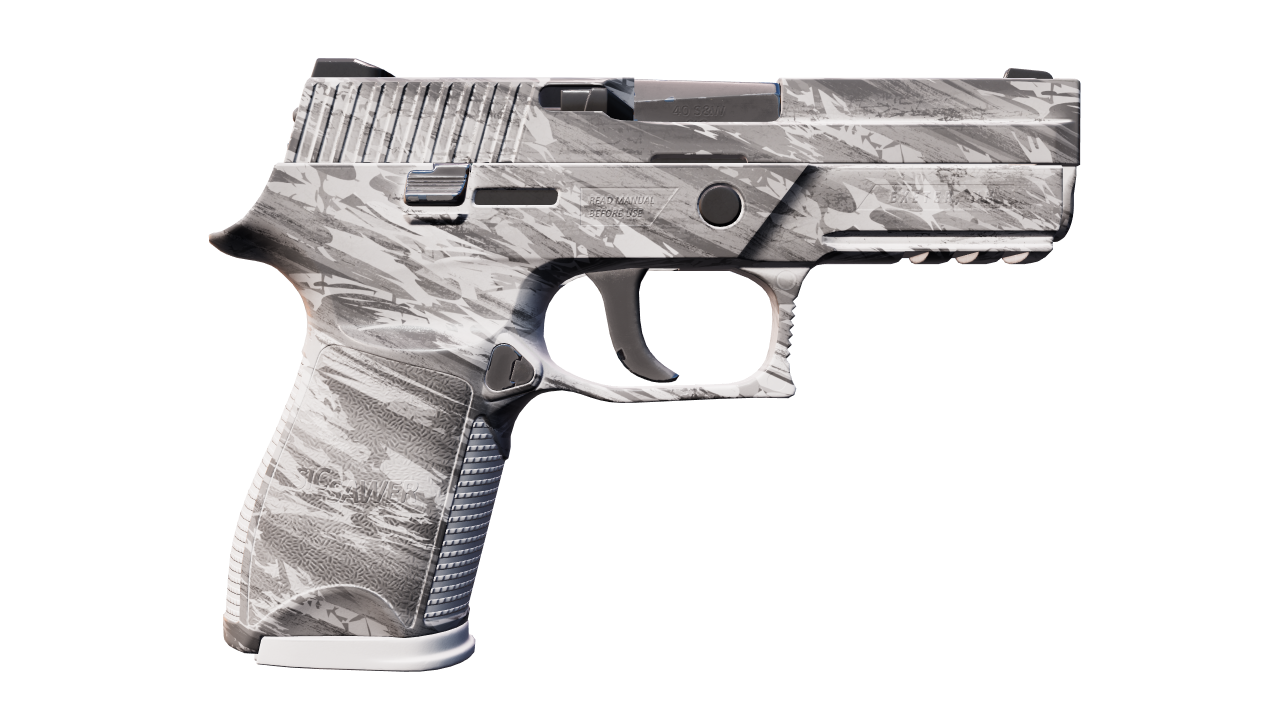 Back view of P250 | Sleet