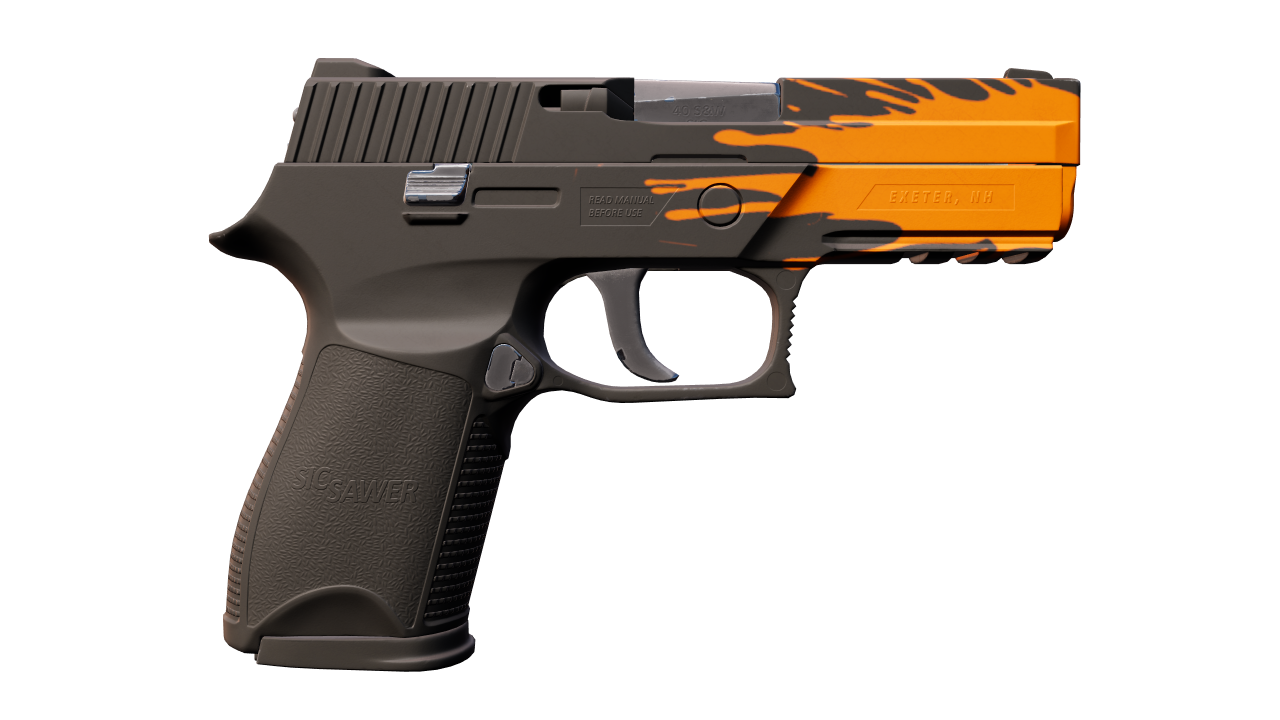Back view of P250 | Splash