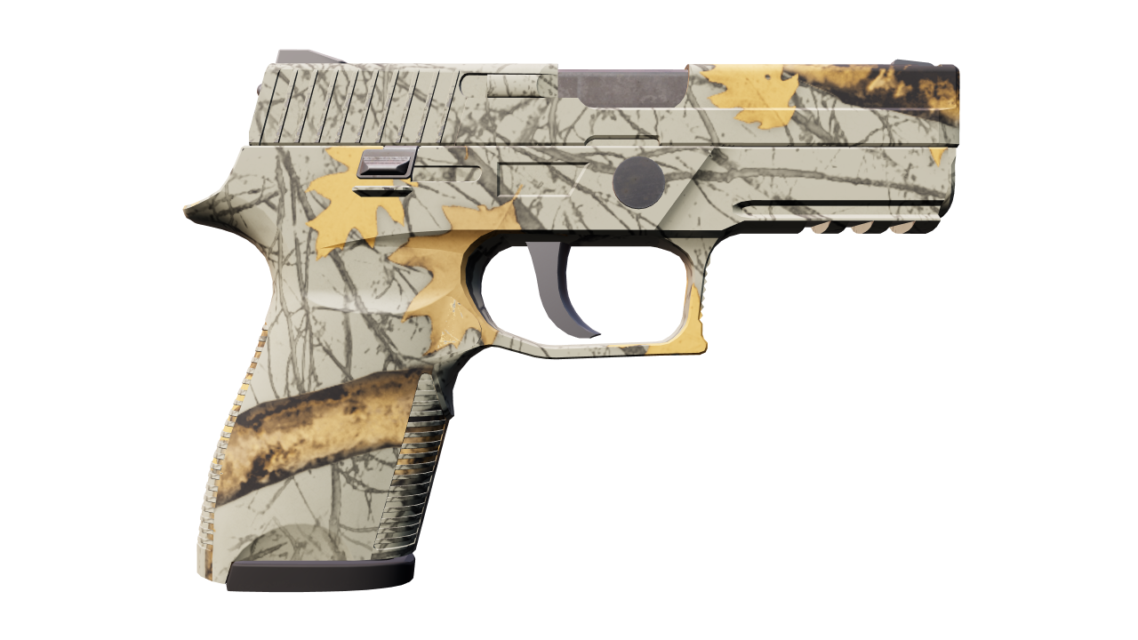 Back view of P250 | Modern Hunter