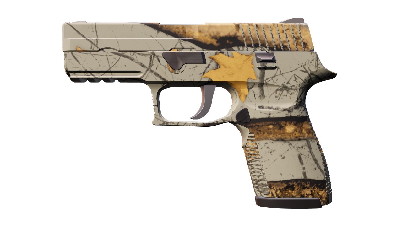 Front view of P250 | Modern Hunter