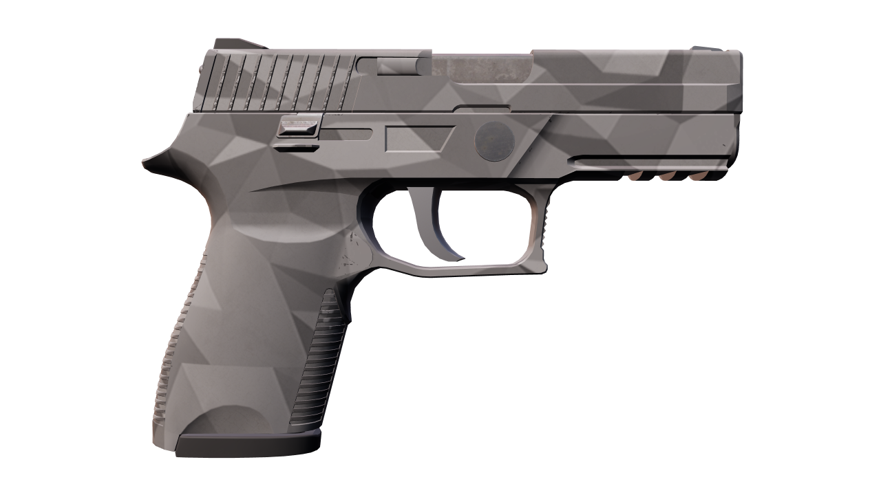 Back view of P250 | Facets