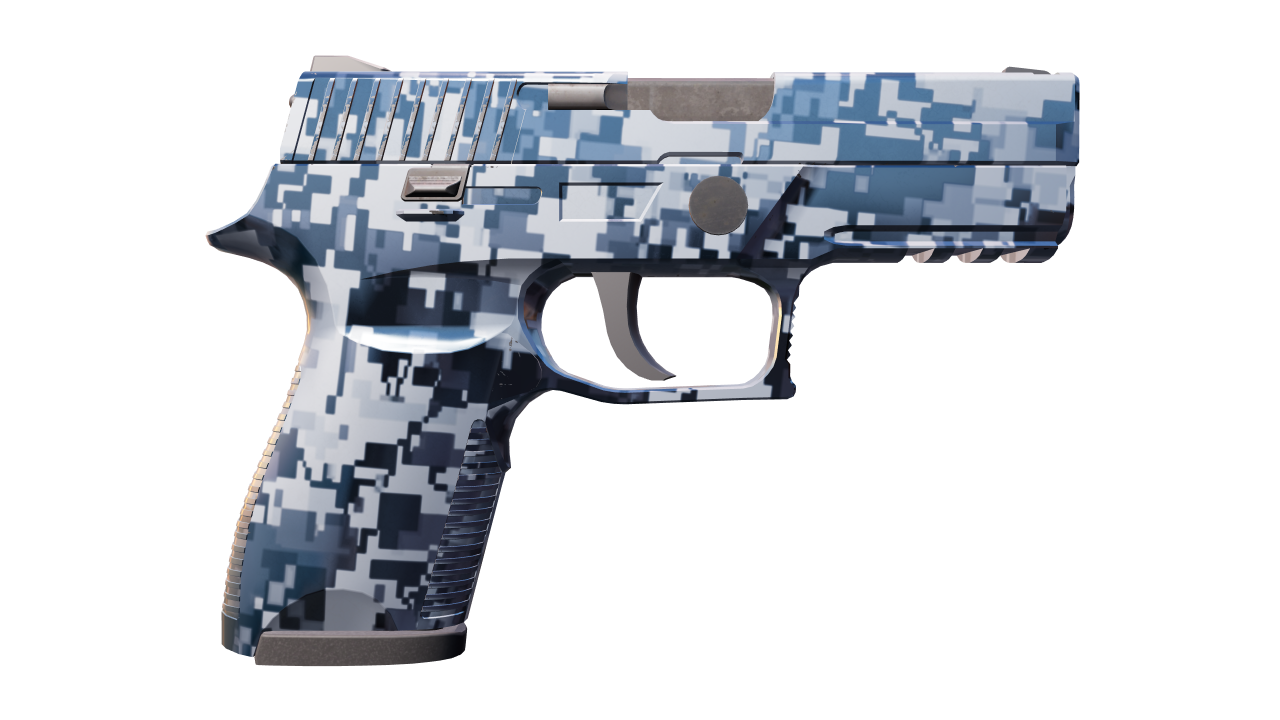 Back view of P250 | Steel Disruption