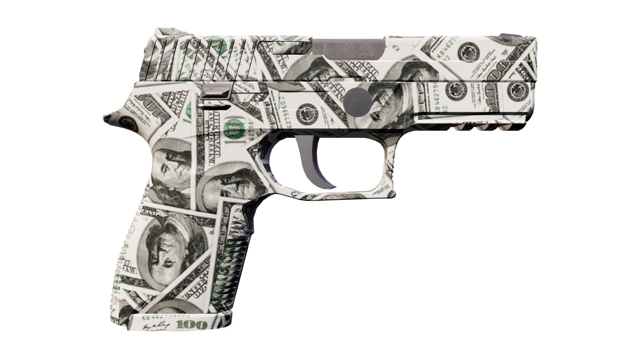 Back view of P250 | Franklin