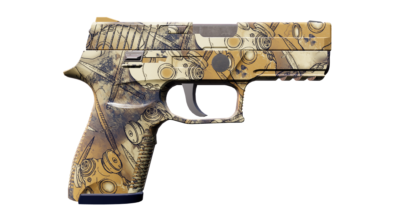 Back view of P250 | Contamination