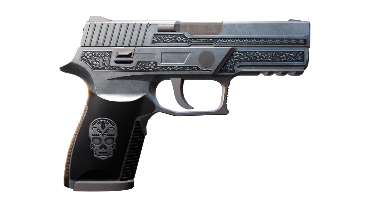 Back view of P250 | Cartel