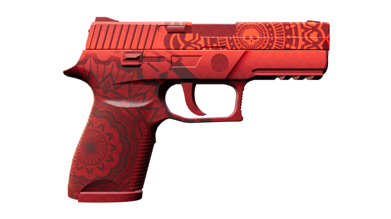 Back view of P250 | Muertos