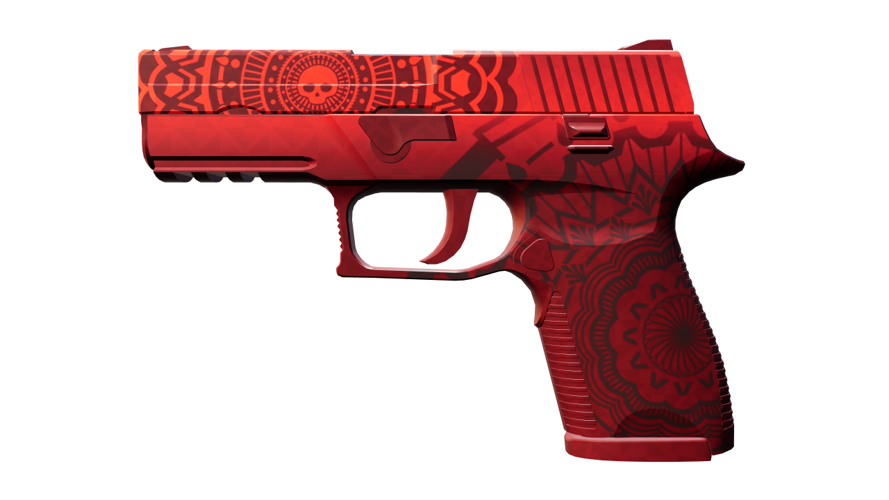 Front view of P250 | Muertos
