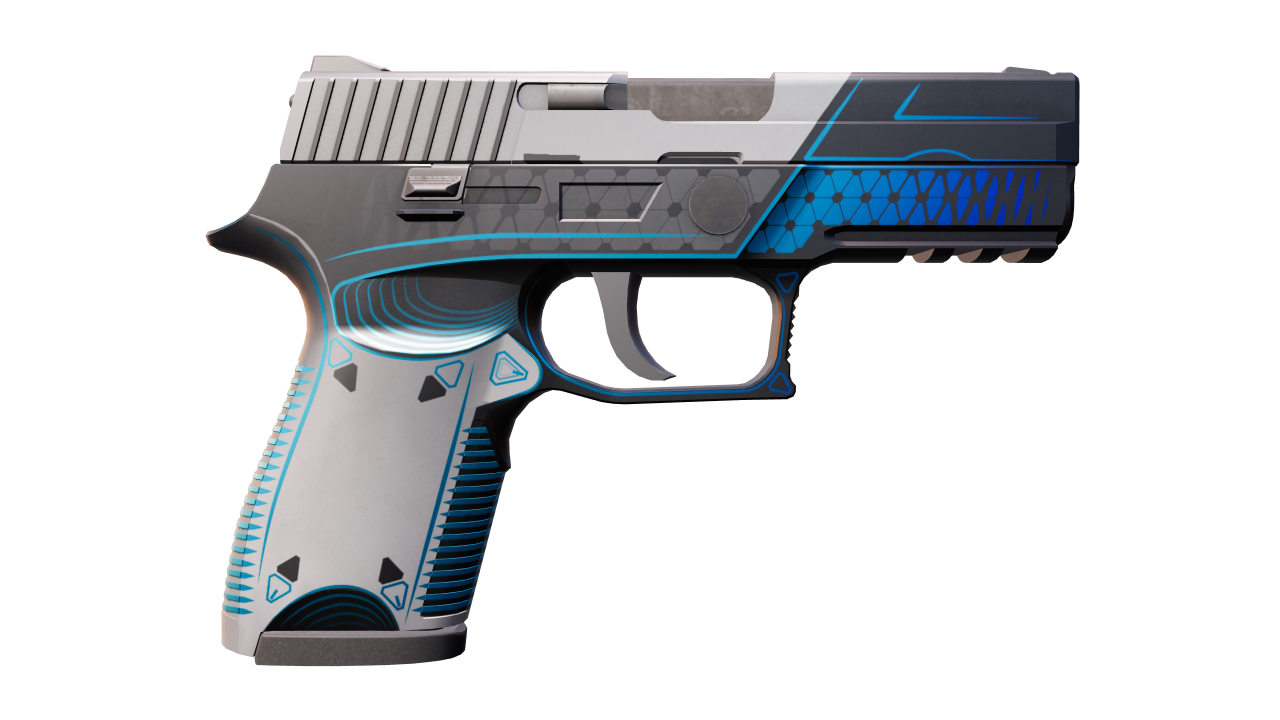 Back view of P250 | Valence