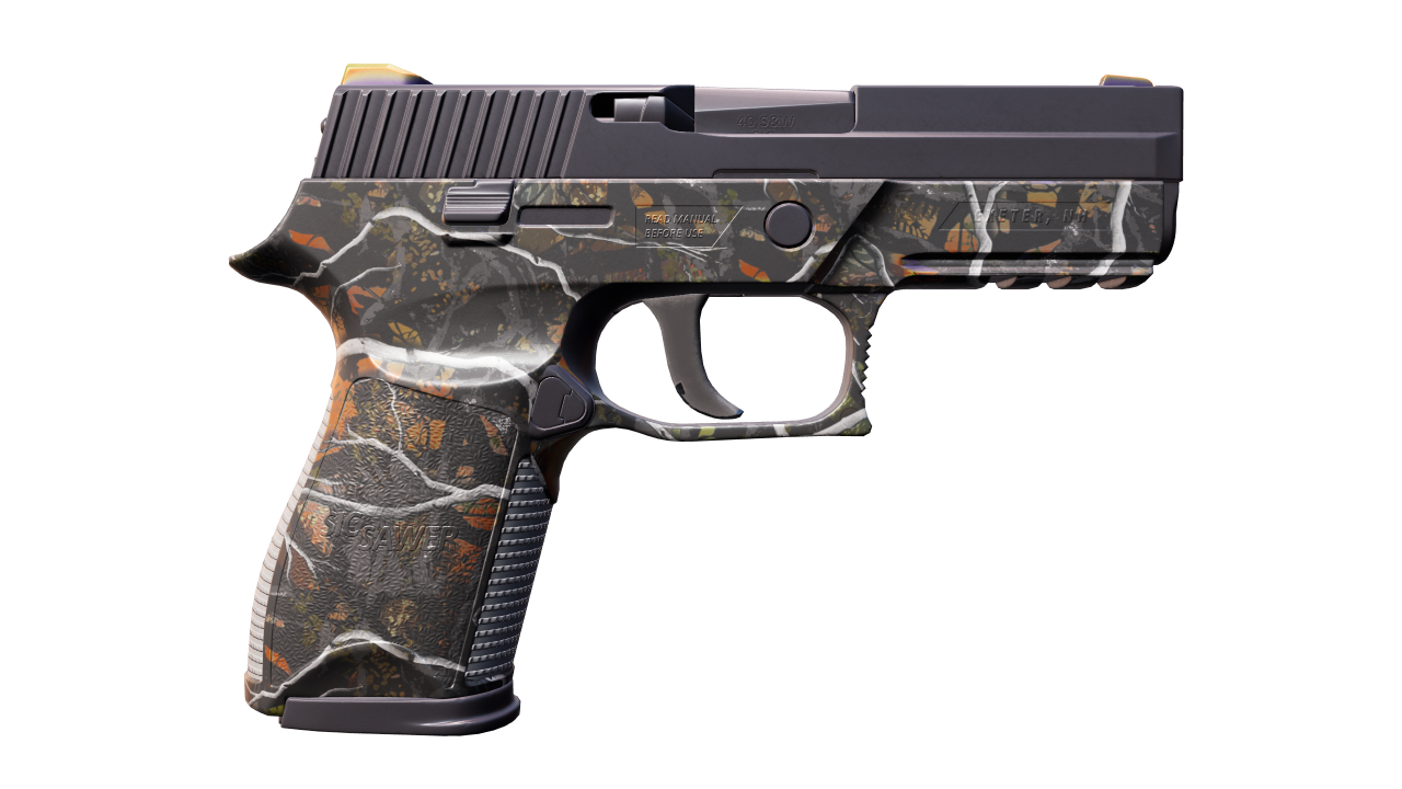 Back view of P250 | Small Game