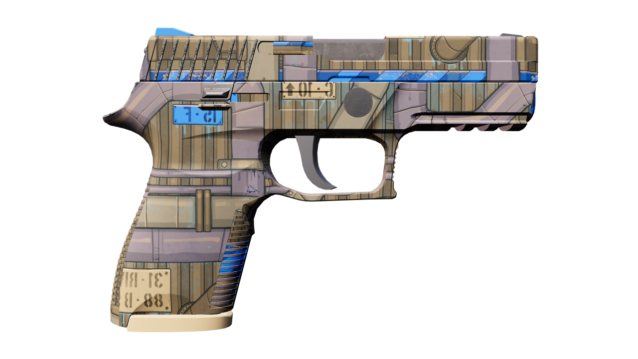 Back view of P250 | Exchanger