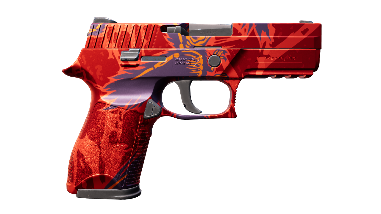 Back view of P250 | Nevermore