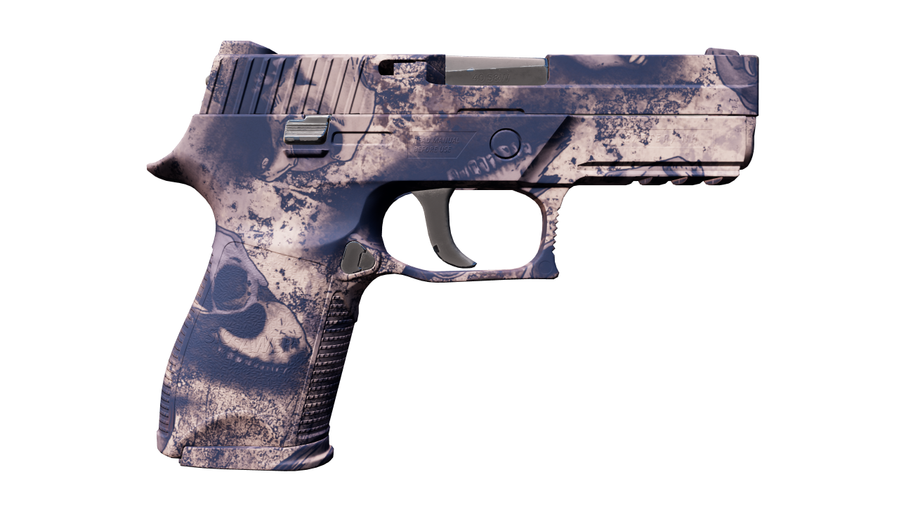 Back view of P250 | Drought