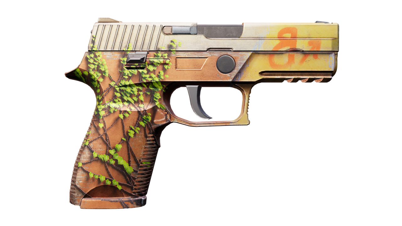 Back view of P250 | Inferno