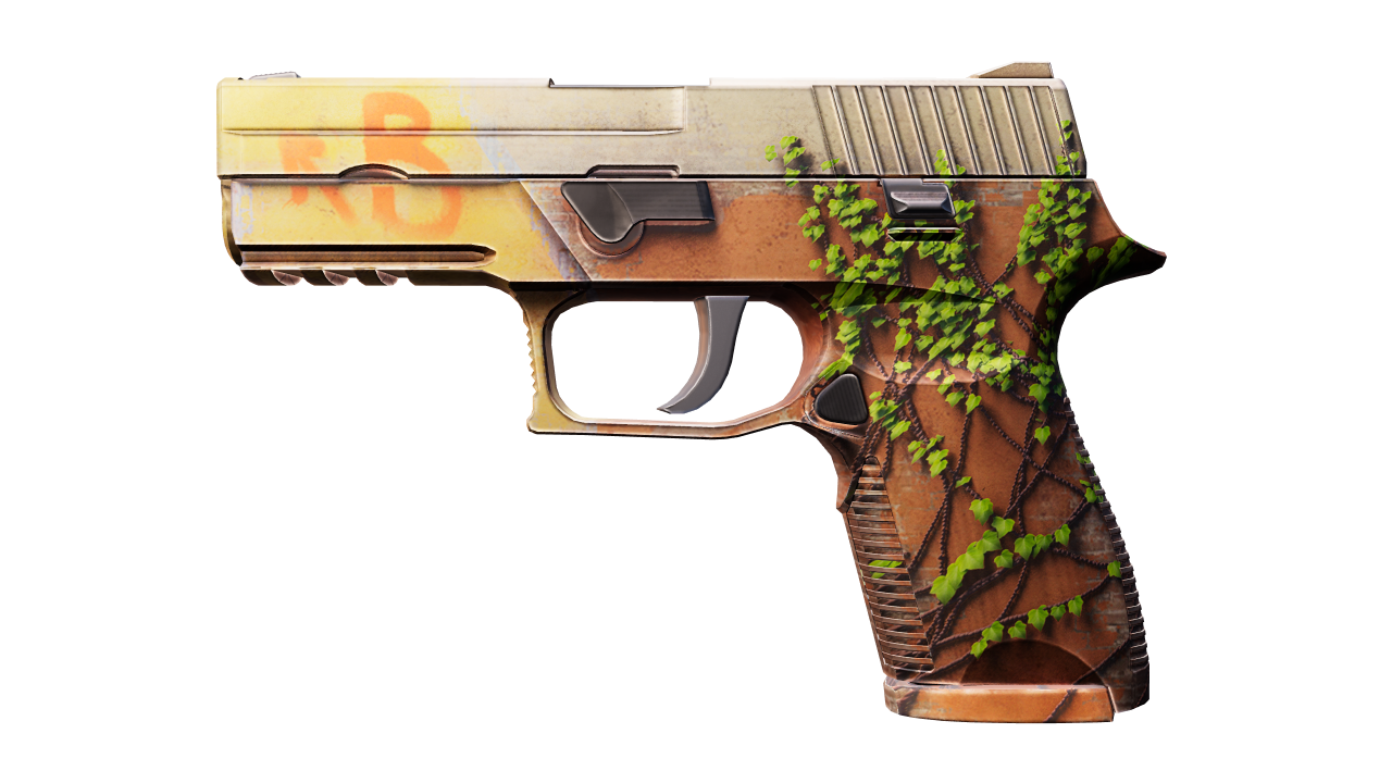 Front view of P250 | Inferno
