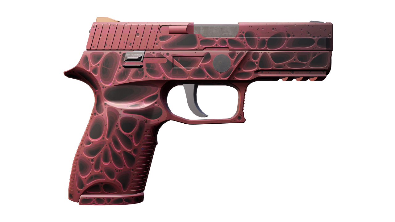 Back view of P250 | Contaminant