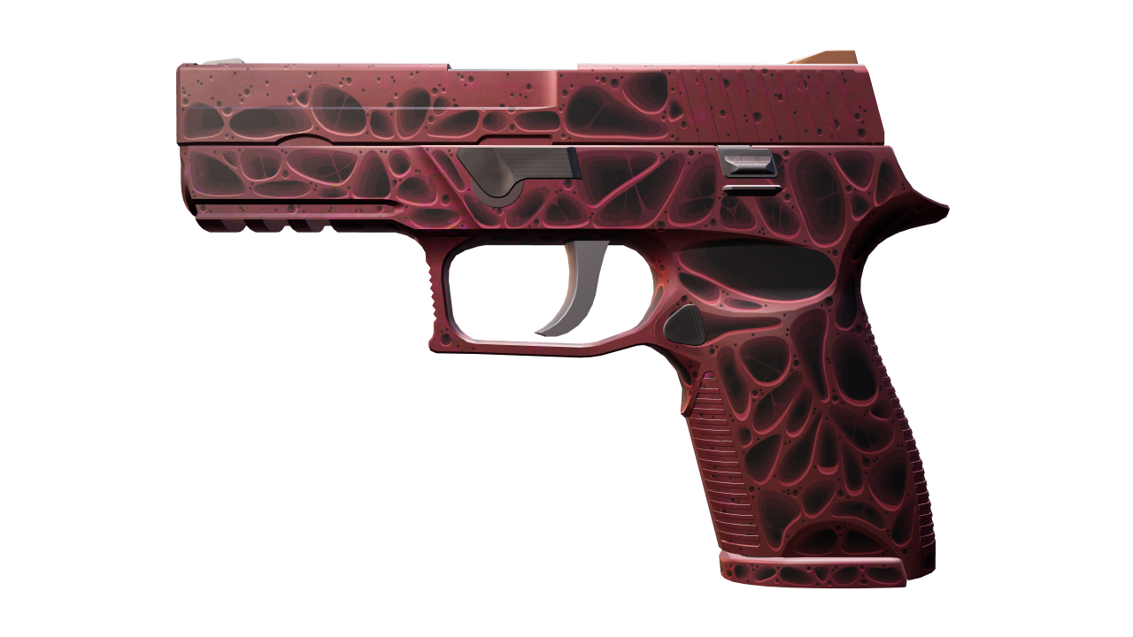 Front view of P250 | Contaminant