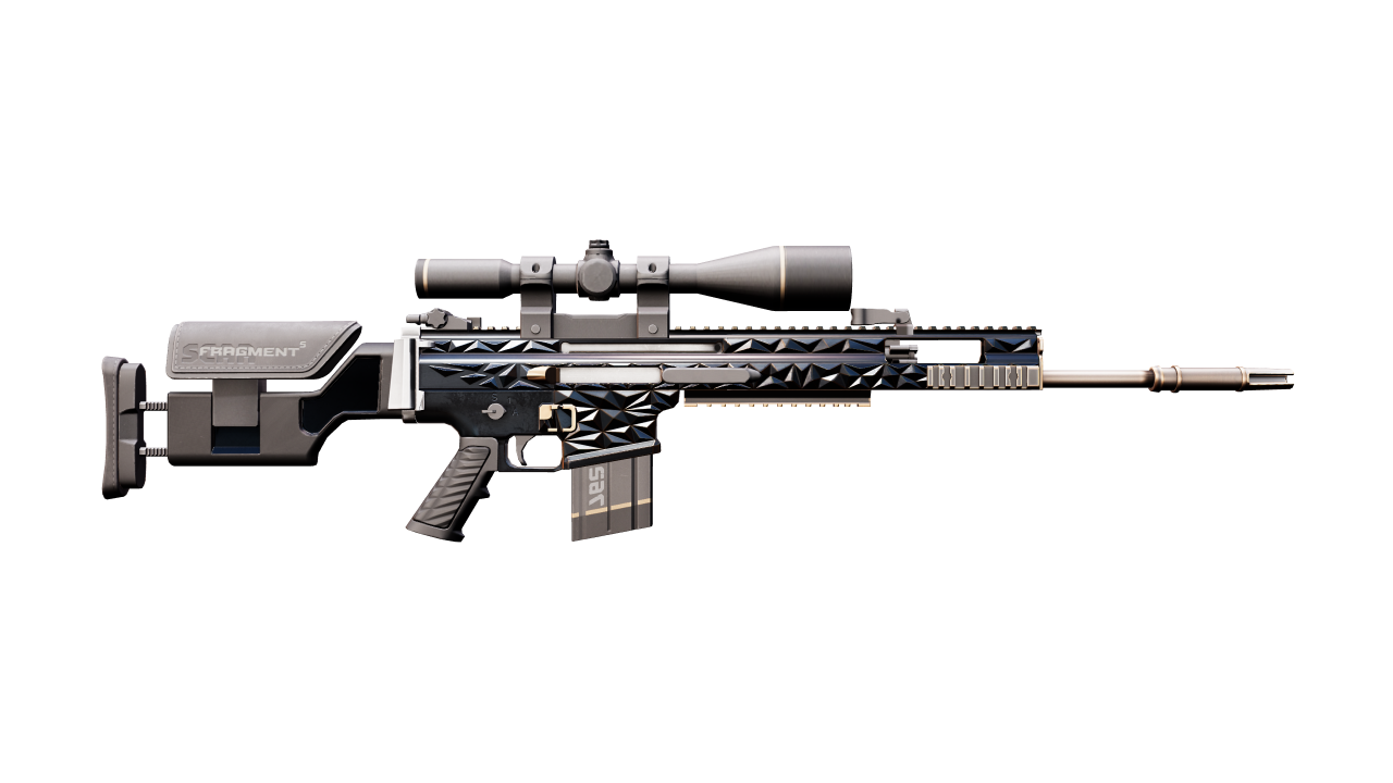 Back view of SCAR-20 | Fragments
