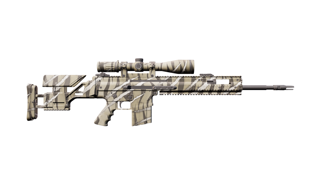 Back view of SCAR-20 | Torn