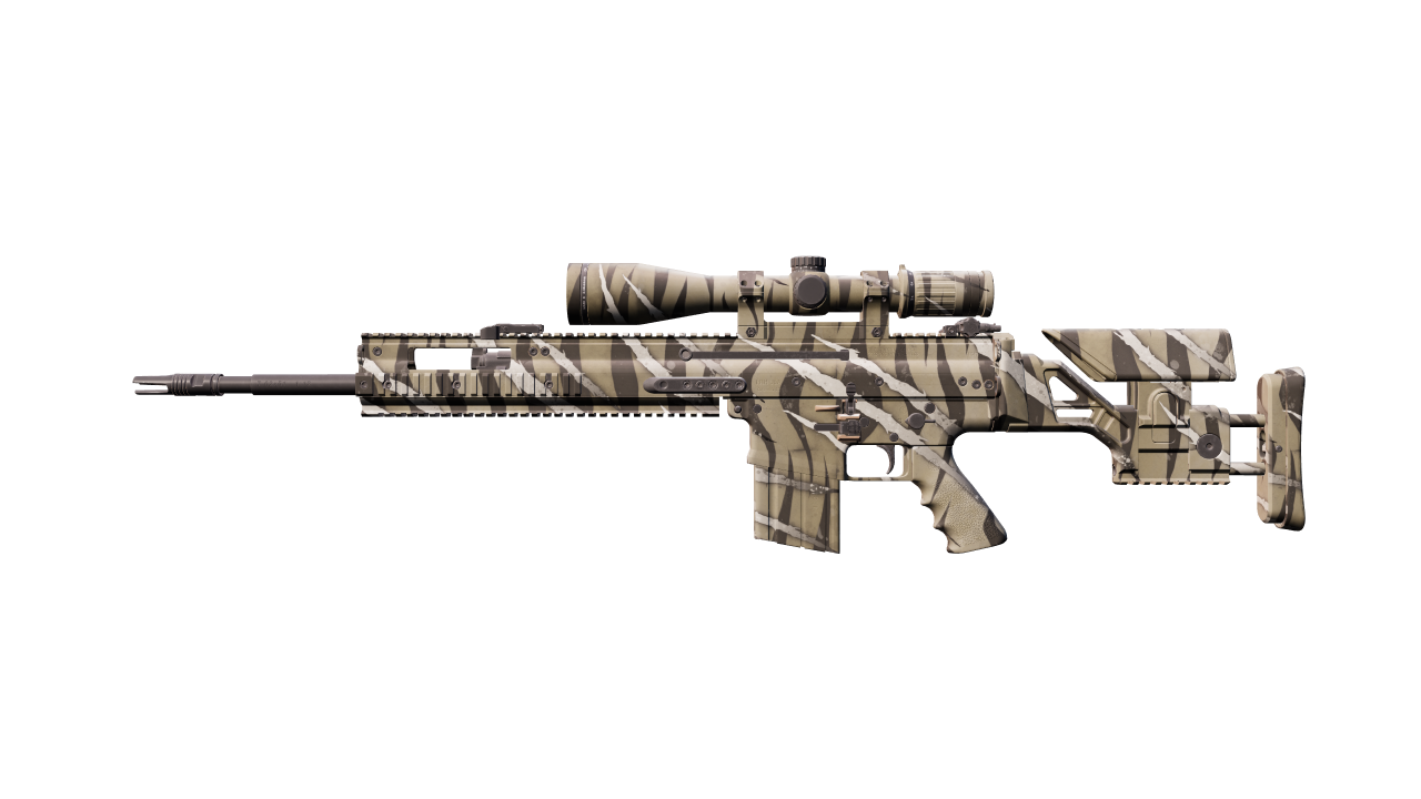 Front view of SCAR-20 | Torn