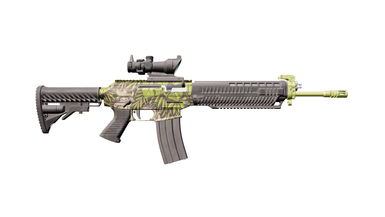 Back view of SG 553 | Lush Ruins