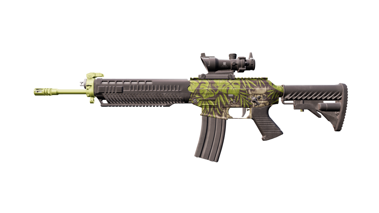Front view of SG 553 | Lush Ruins