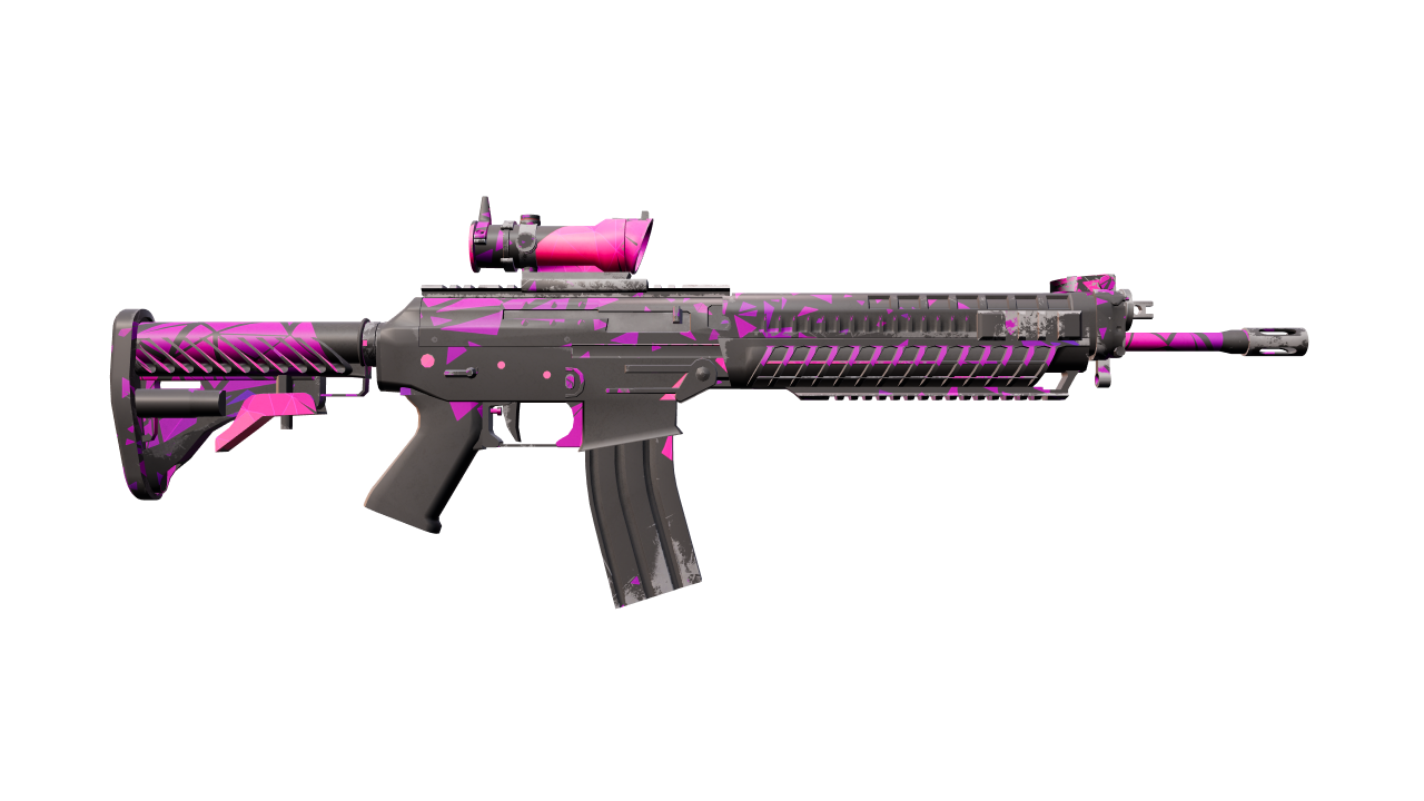 Back view of SG 553 | Pulse