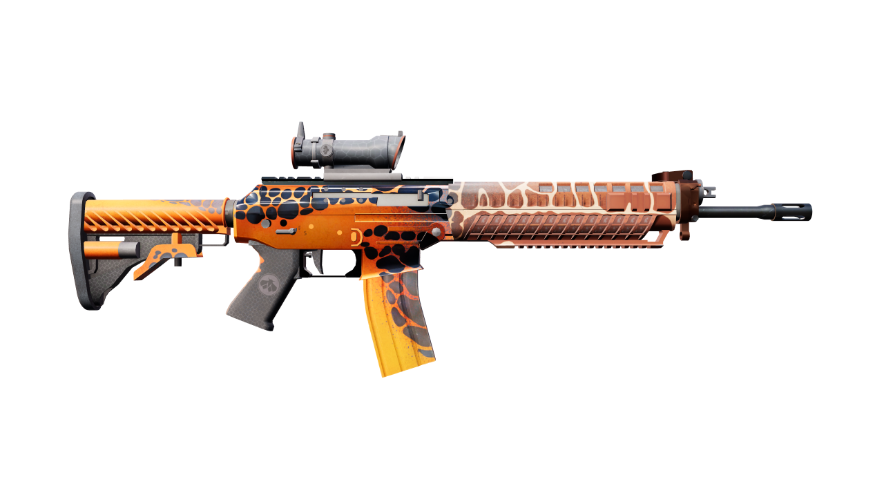 Back view of SG 553 | Tiger Moth