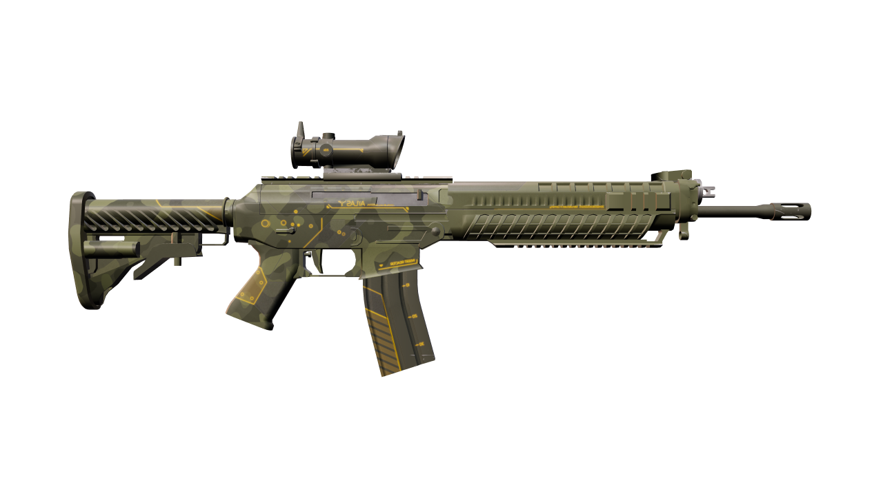 Back view of SG 553 | Atlas