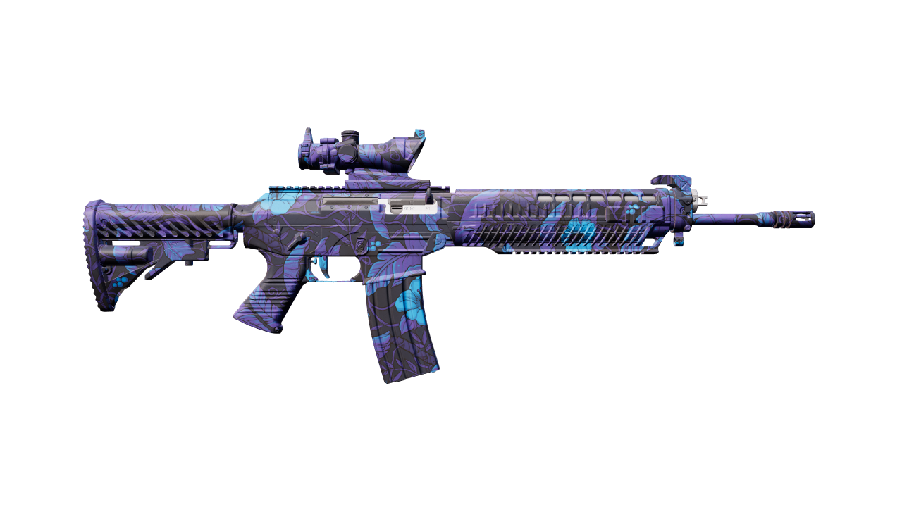 Back view of SG 553 | Aloha