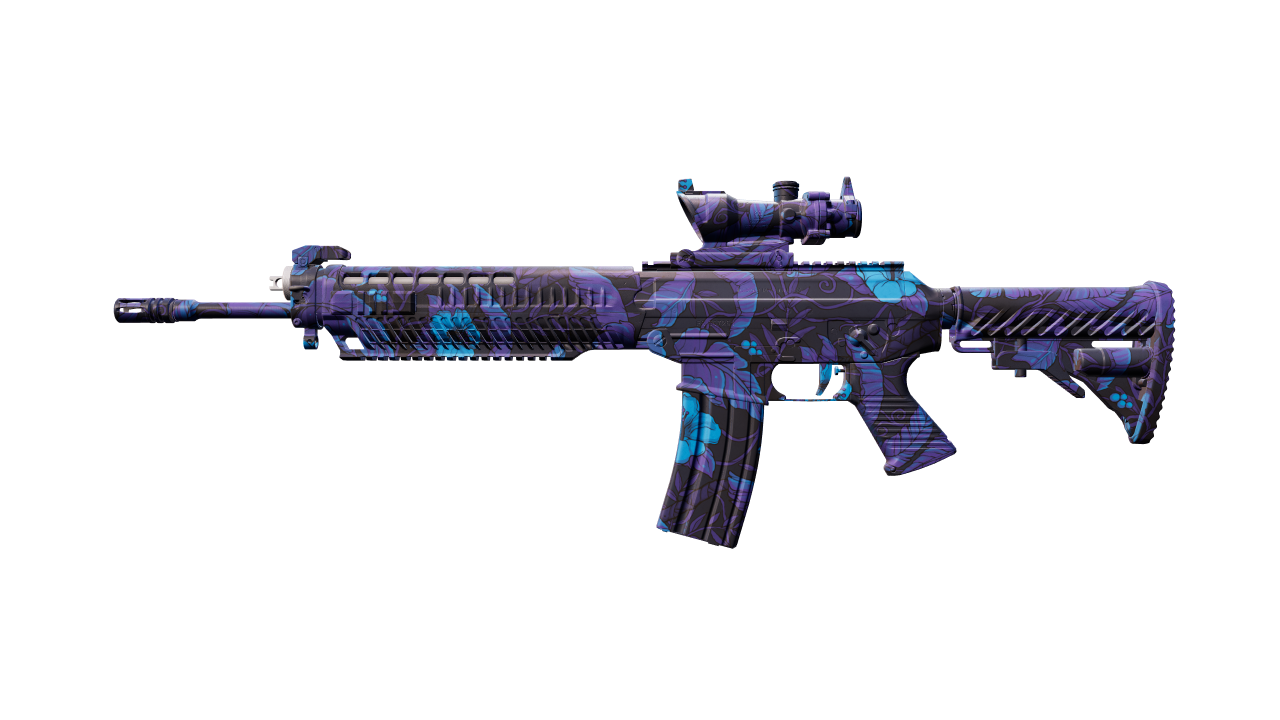 Front view of SG 553 | Aloha