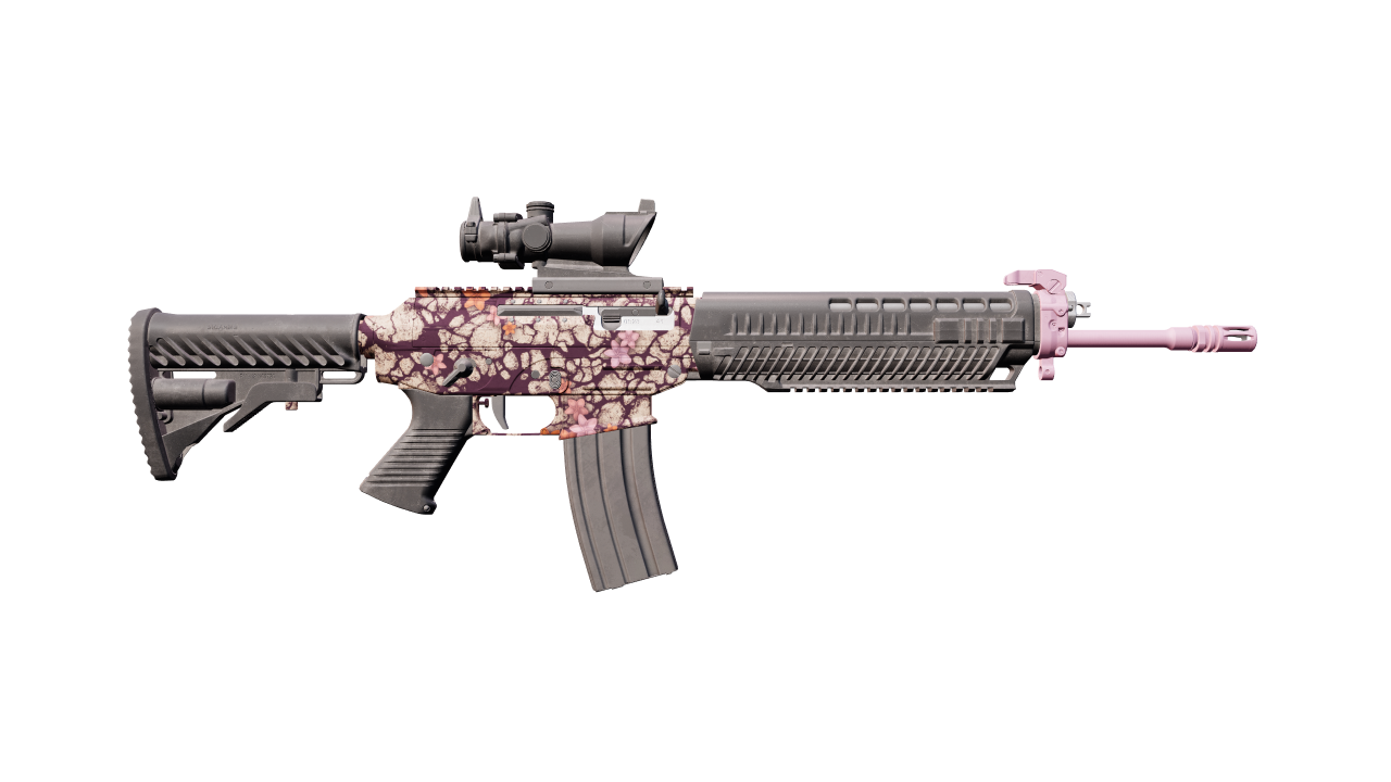 Back view of SG 553 | Desert Blossom