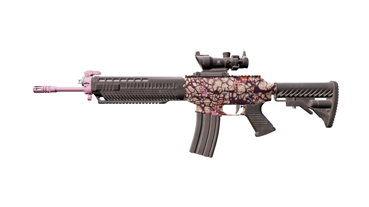Front view of SG 553 | Desert Blossom