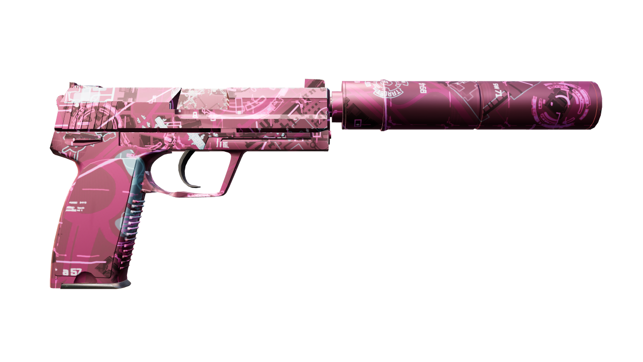 Back view of USP-S | Target Acquired