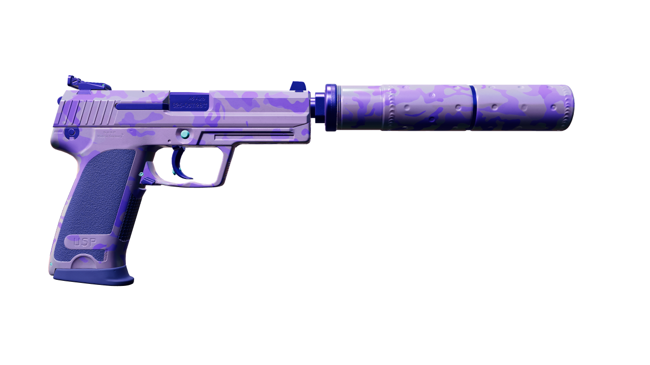 Back view of USP-S | Sleeping Potion